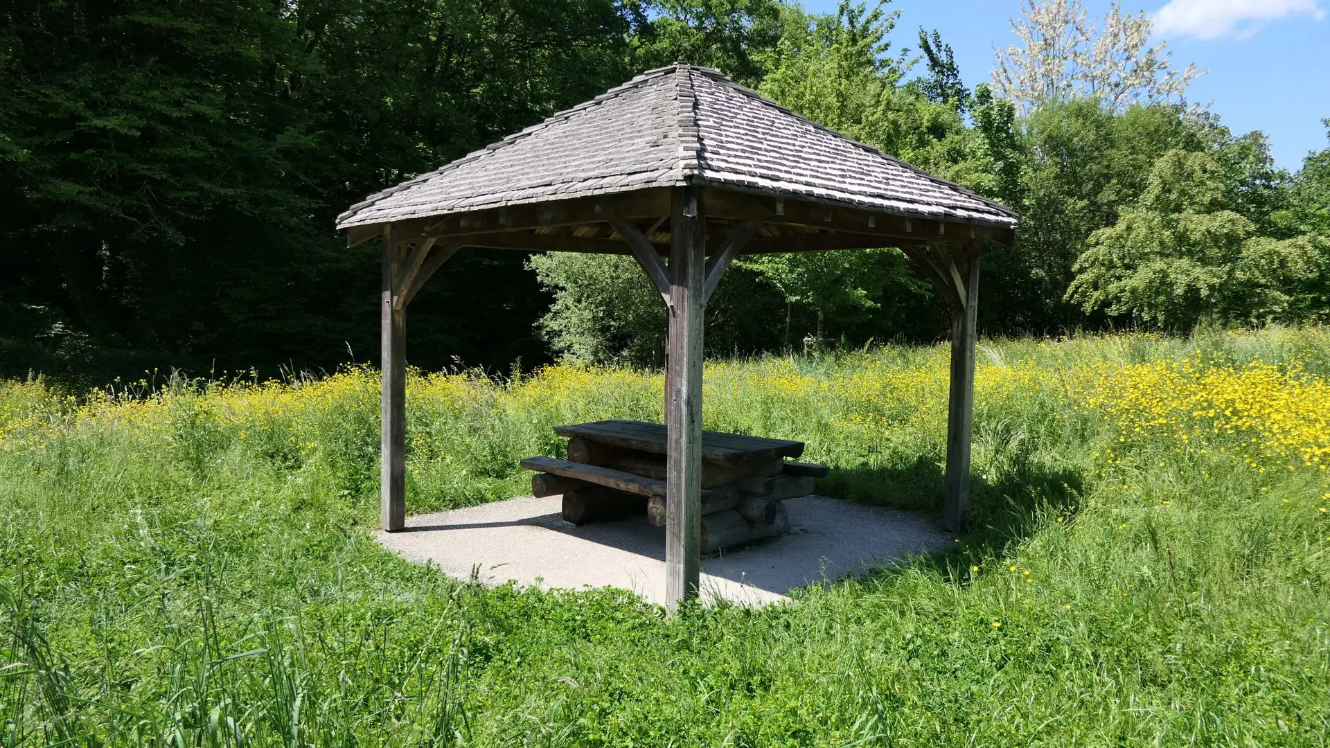 saint-junien_2025_Amel-elmalah-aire-de-pique-nique-site-corot-reduit