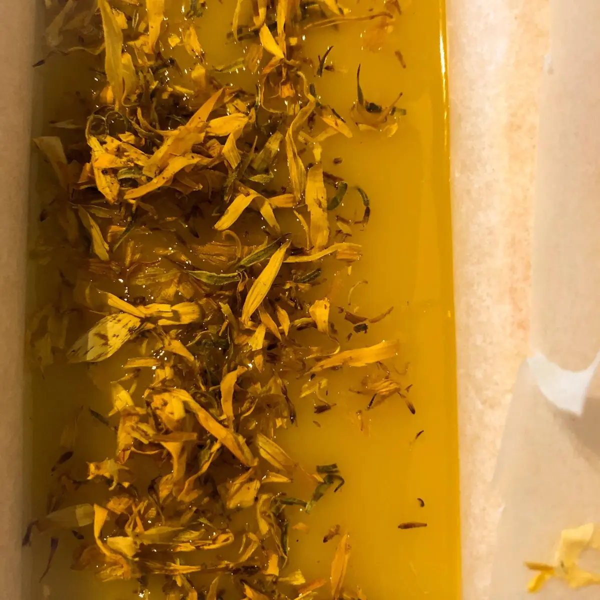savon de l'or_pitchoun