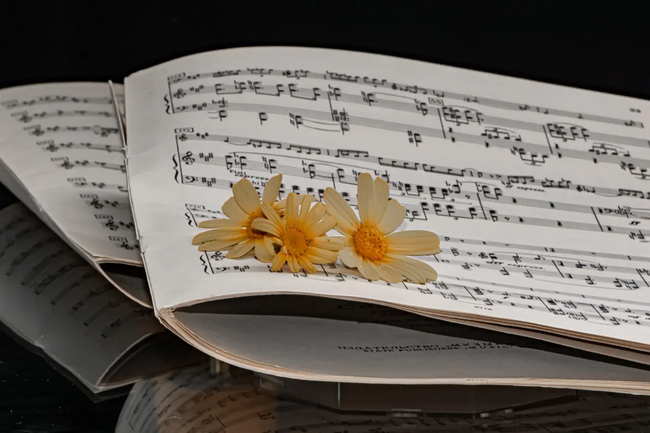 sheet-music (2)