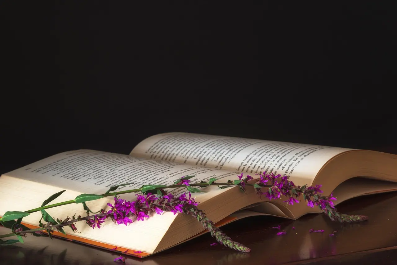 Lectures avec Les Amis des mots