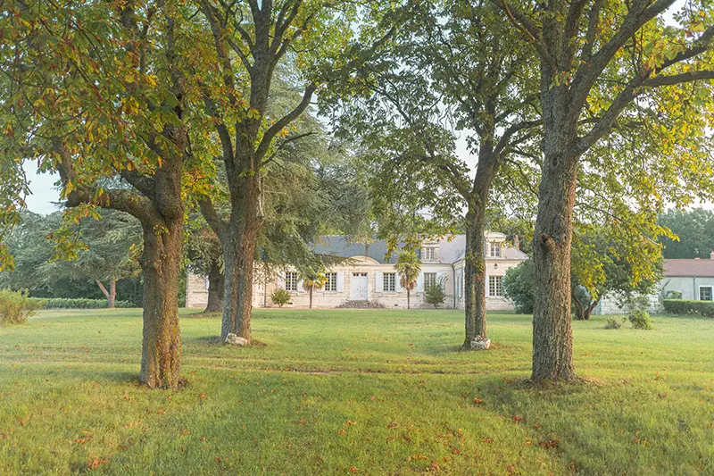 magick-XxTetOZXF9eqhfJebJwrbj6Yf-ucM4sW