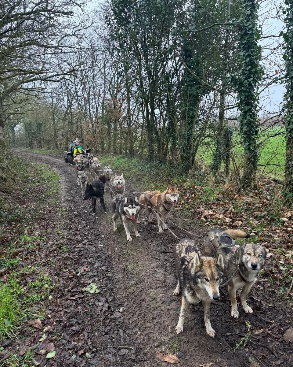 479707014_17961743936853152_3520149707433550651_n