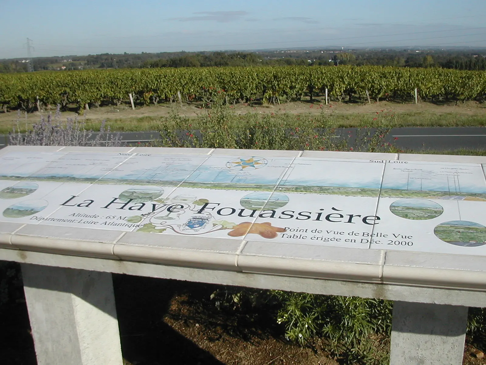 table-orientation-la-haye-fouassiere-44-PNA