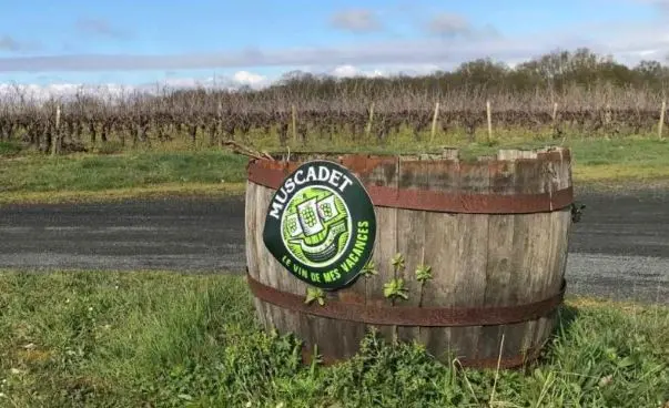 Aire camping car Forgeau