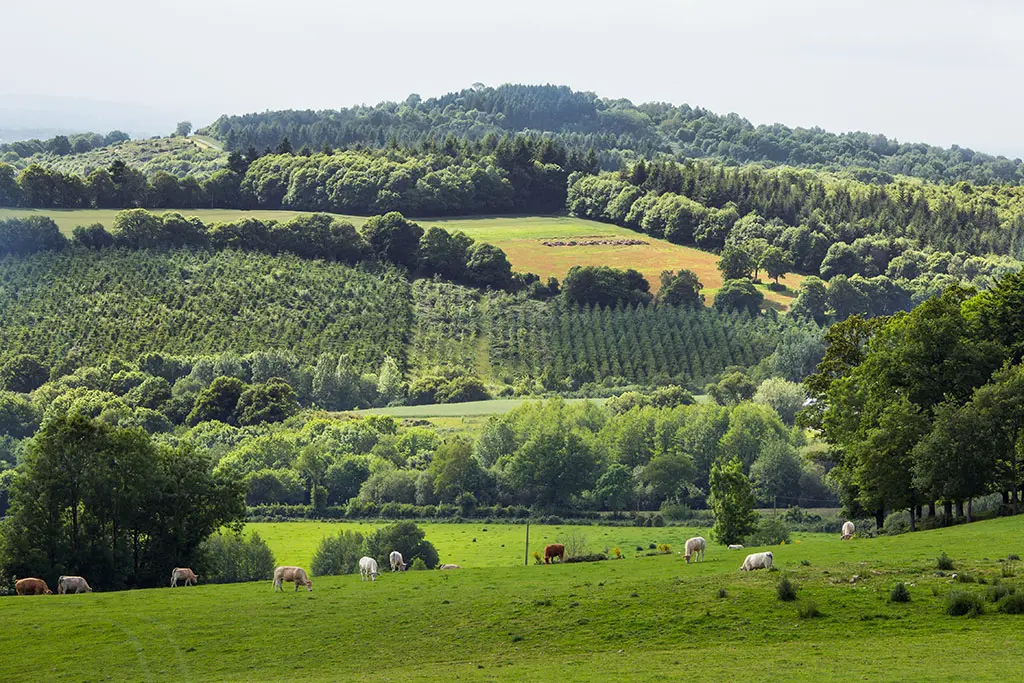 Mont-Rochard