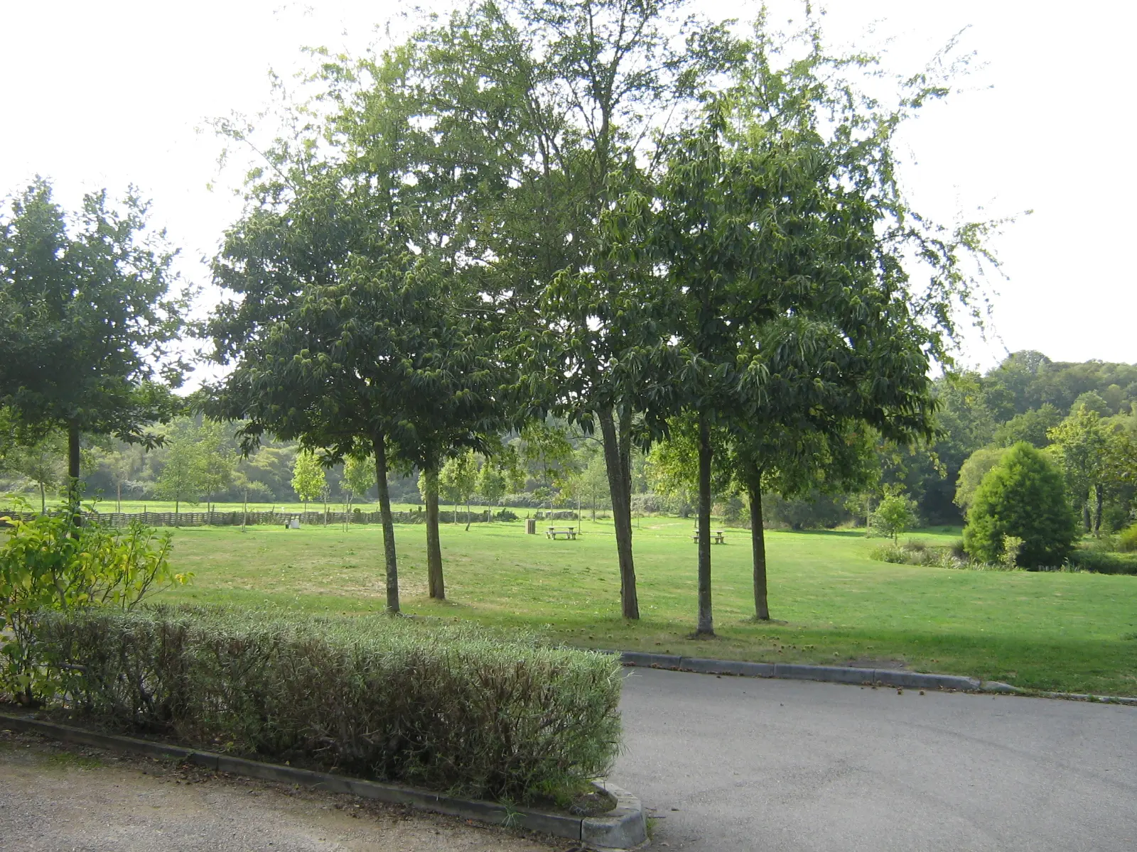 Malville 18 septembre 2009 009