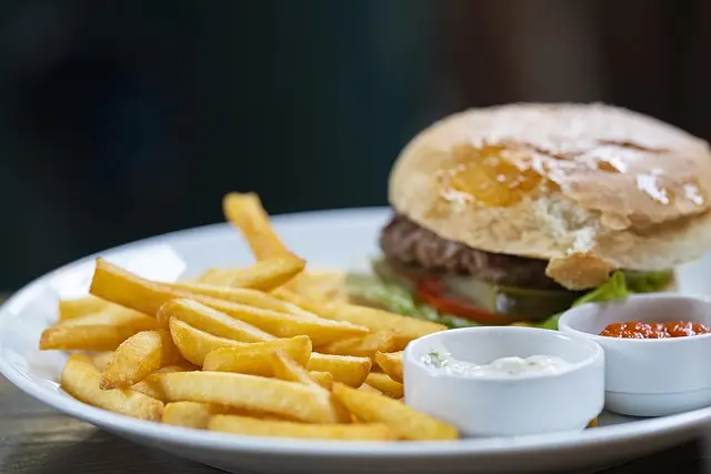 burger-4683373_640
