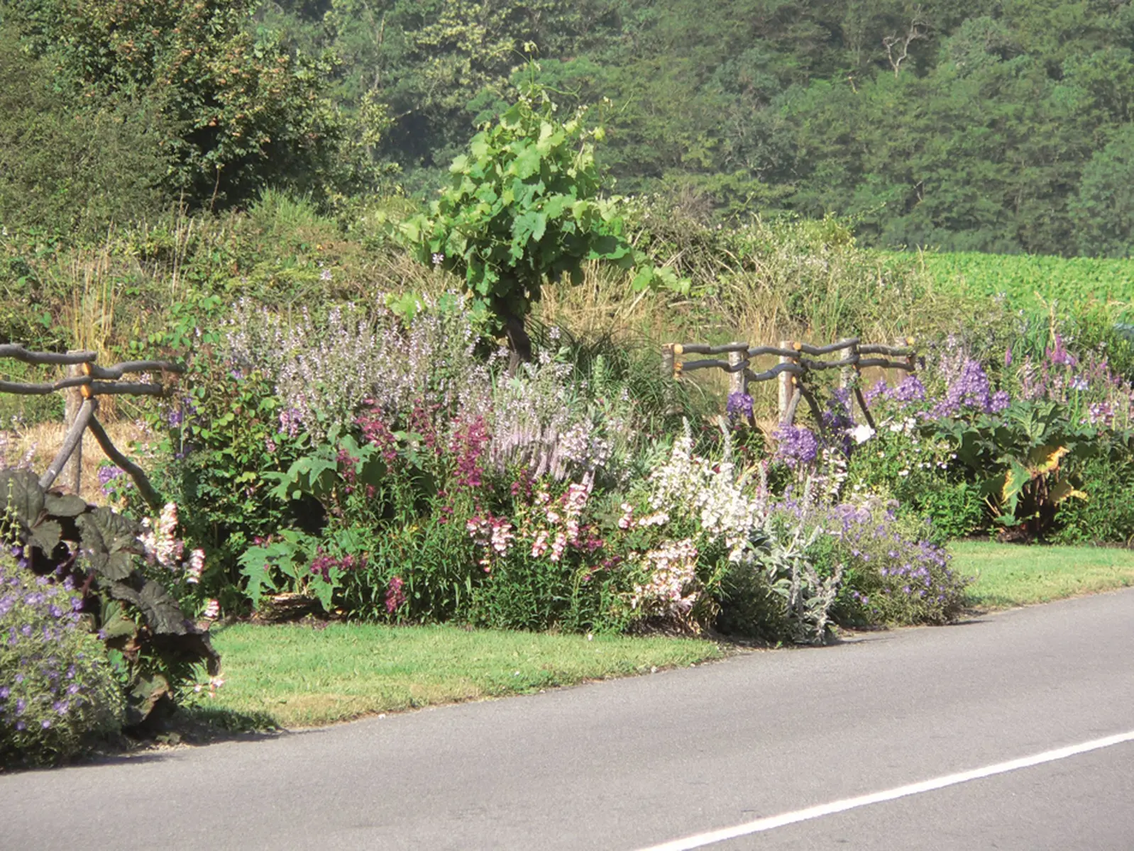 fleurissement-haie-fouassiere-levignobledenantes