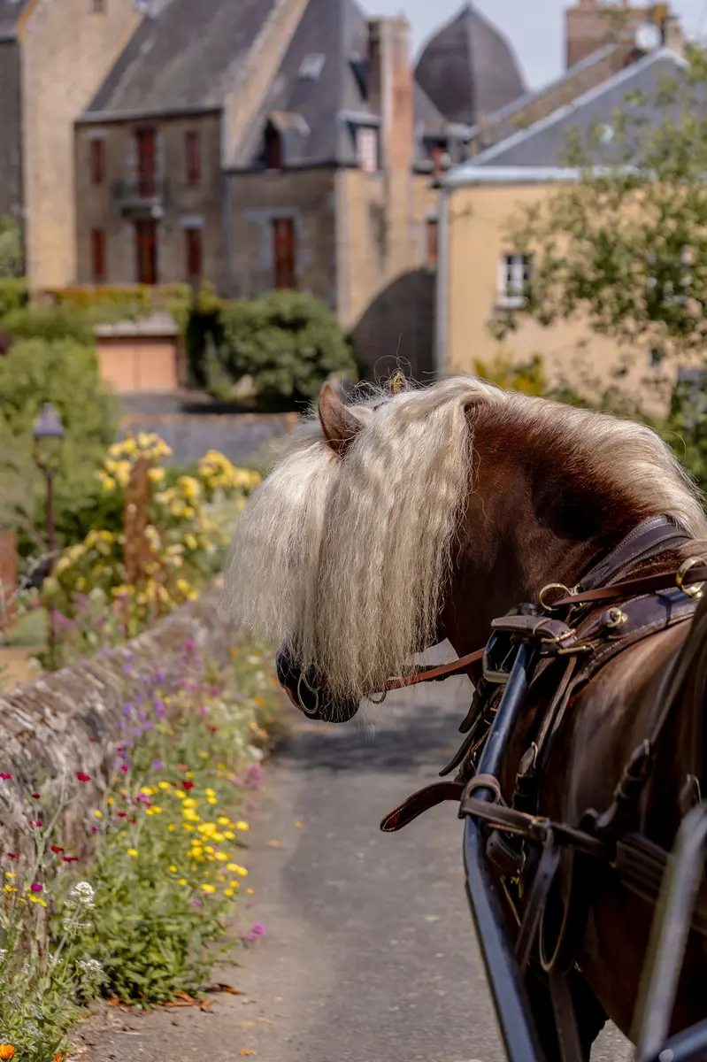balade en calèche à Lassay les Châteaux