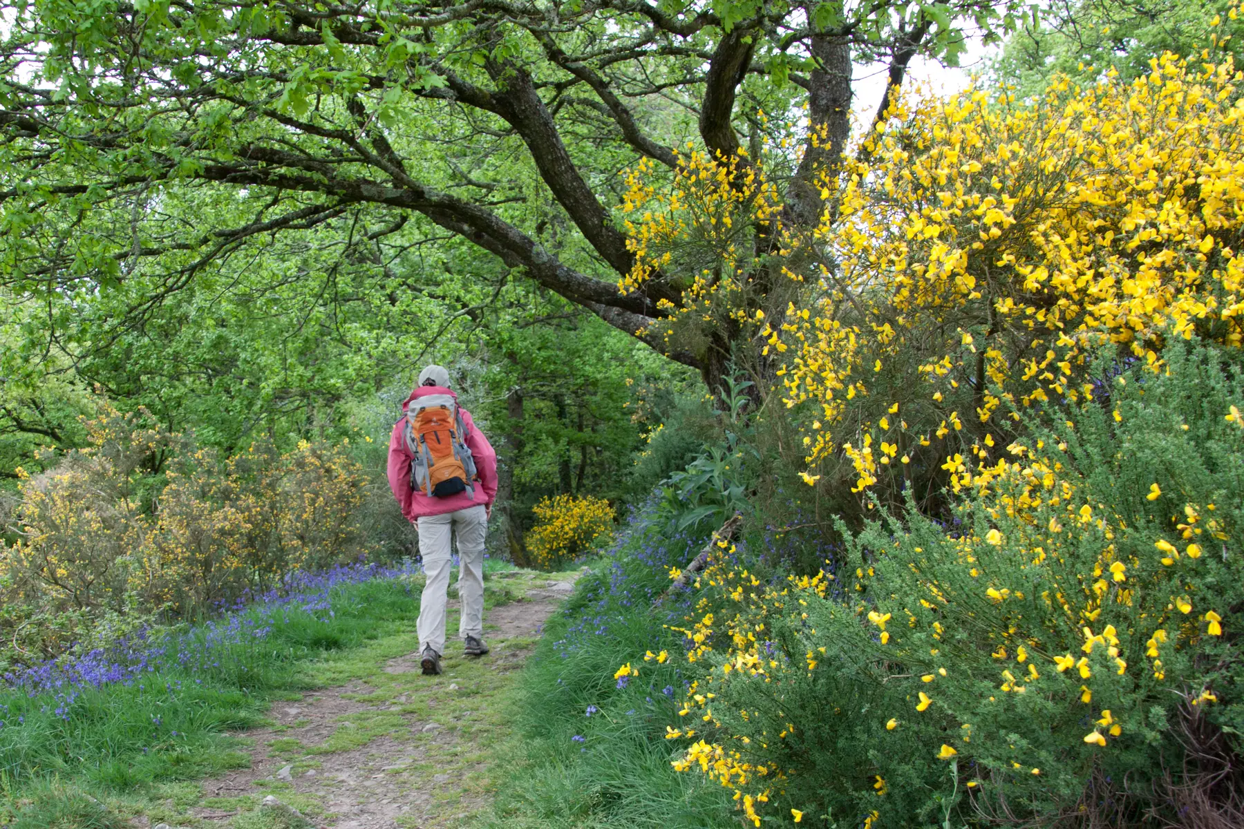 Randonneuse à Saint-Léonard-des-Bois