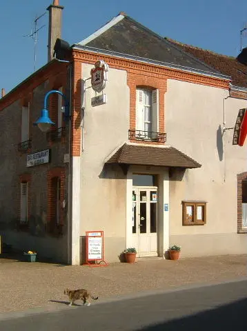 stéloi