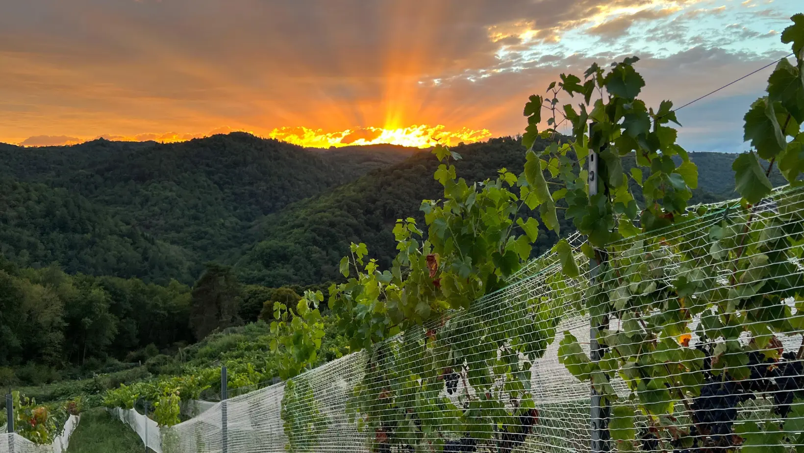 618031164_1603365910714907_8933015546670545324_n