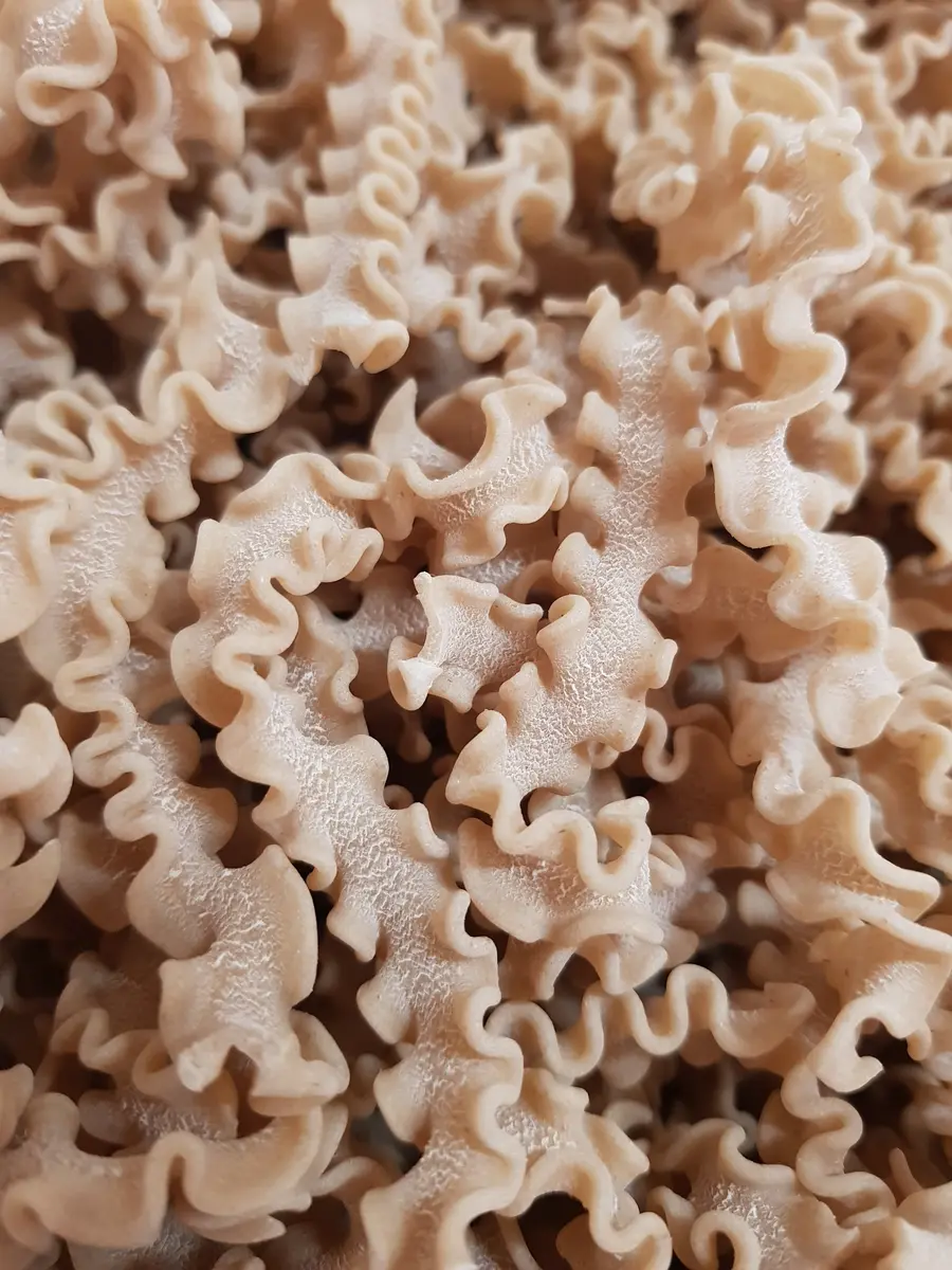 Pâtes de la ferme à la farine de blé