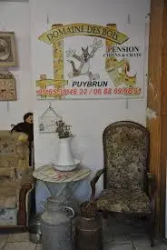 Domaine des Bois Puybrun