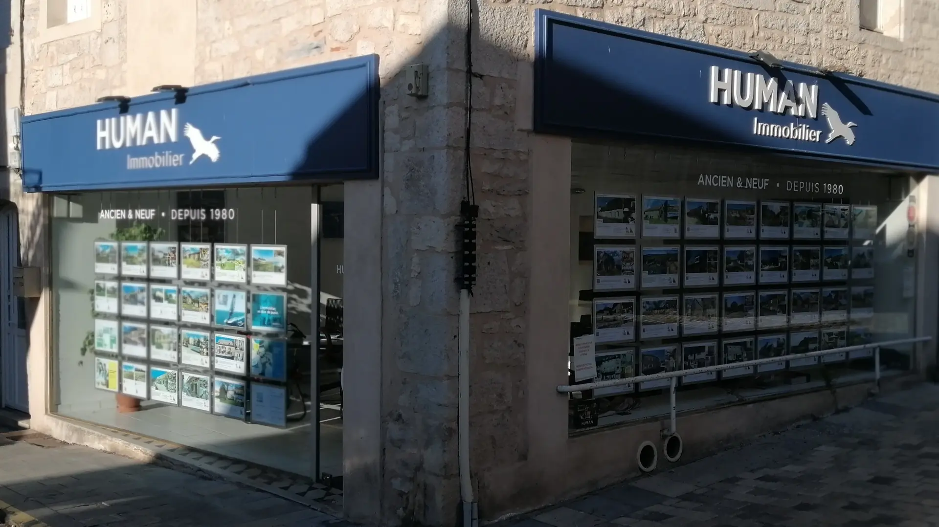 Human Immobilier