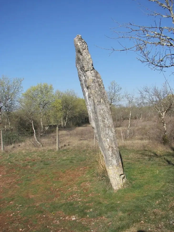 Livernon_54223_Menhir-de-Belinac