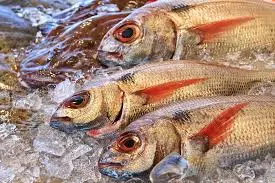 Poissonnerie