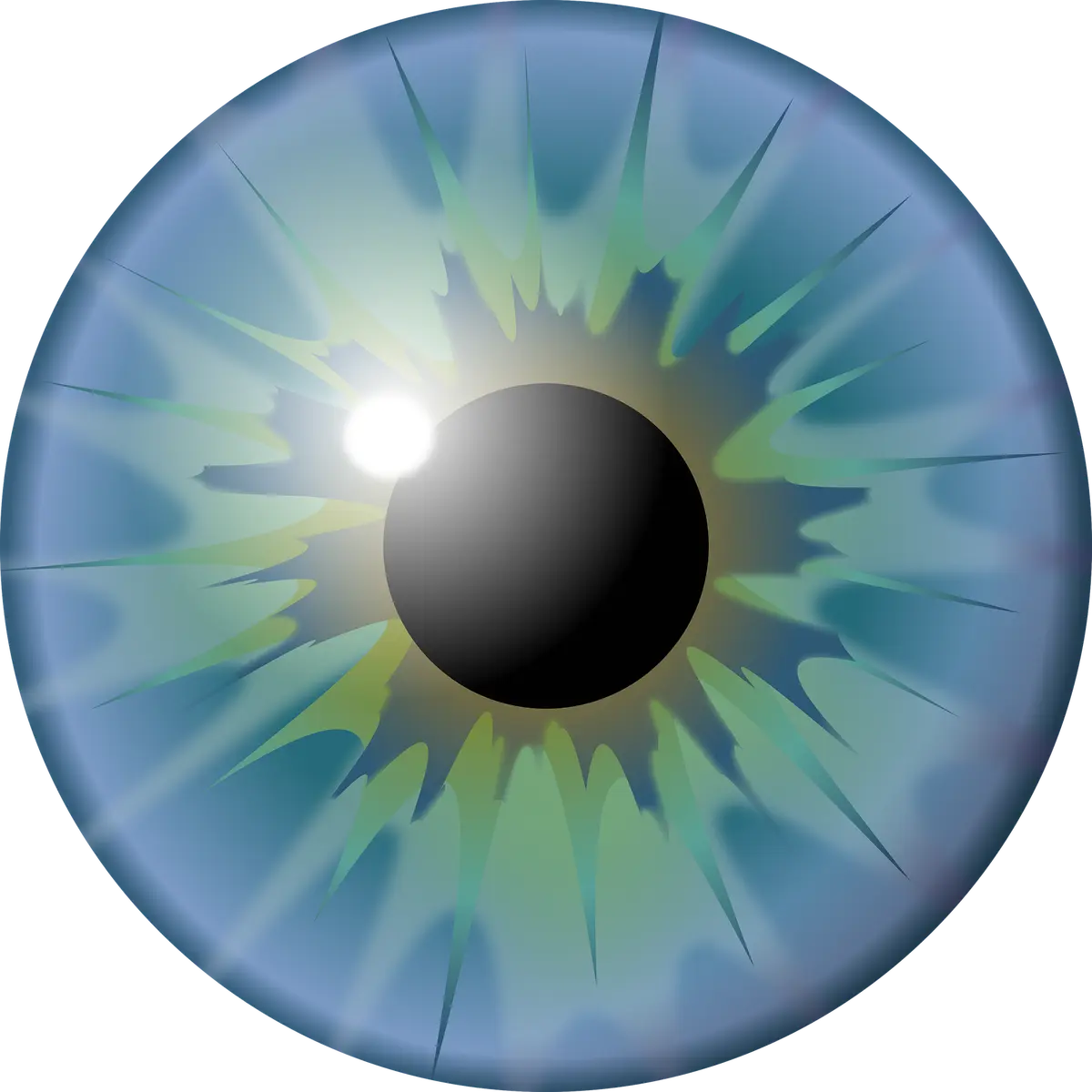 eye-3692767_1920