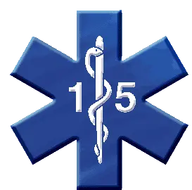 logo samu15