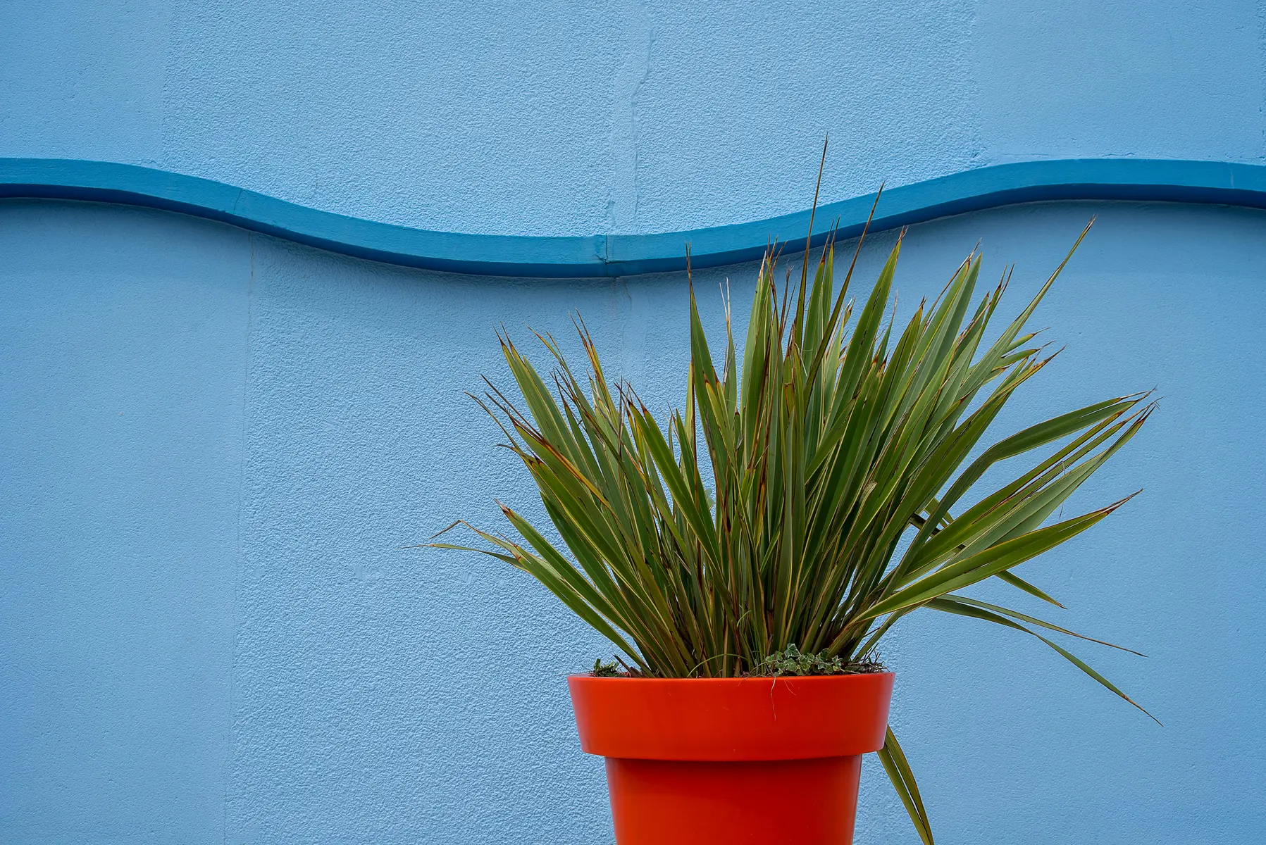 pexels-jan-van-der-wolf-11680885-34969446