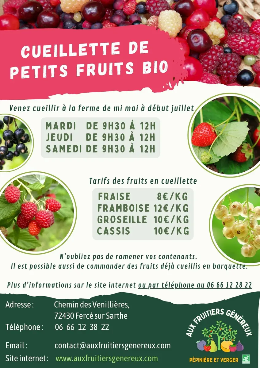 Copie de Visite guidée fruits santé - 1