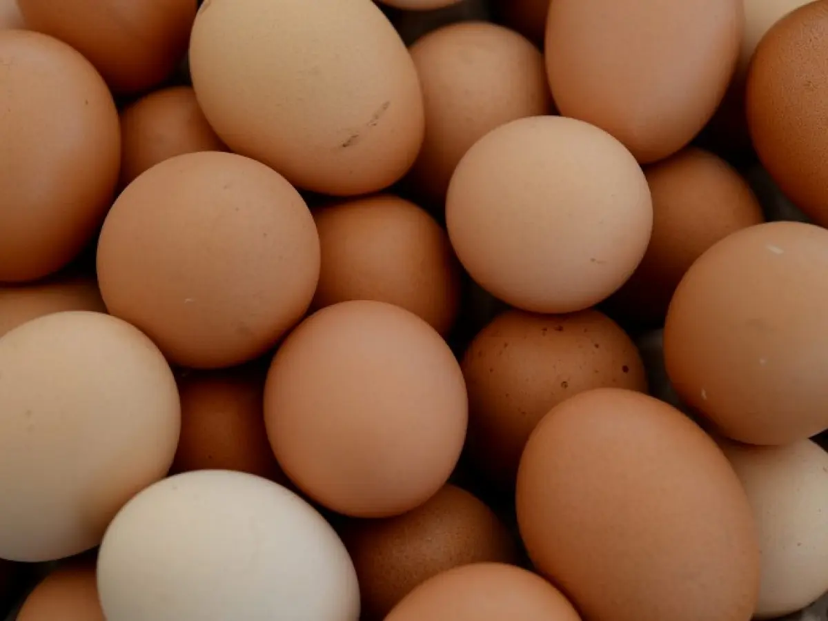 Oeufs