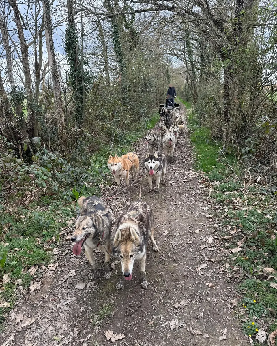 486705629_17965771826853152_3924178791761646754_n