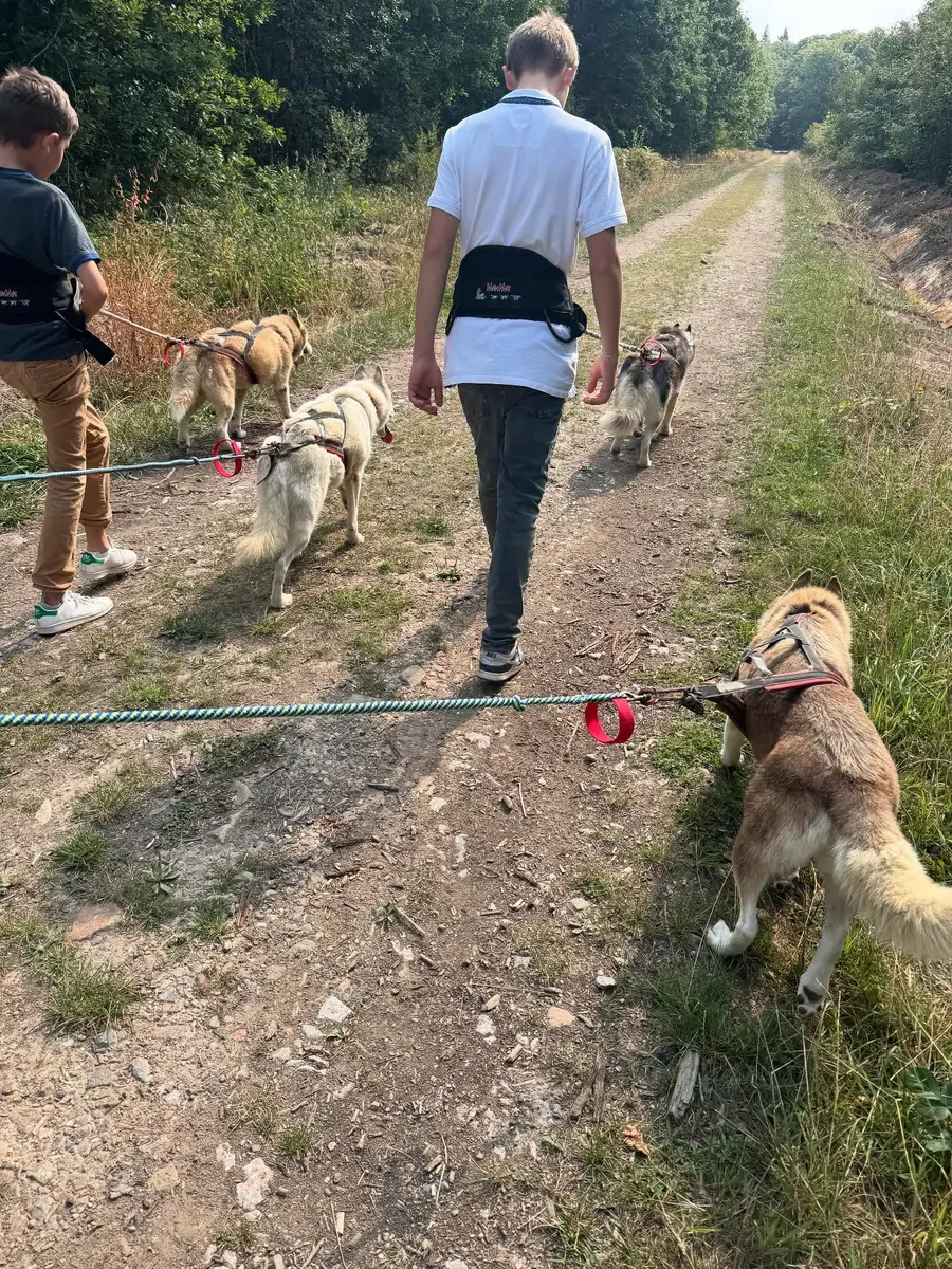 534199432_17981228288853152_709718032799606425_n