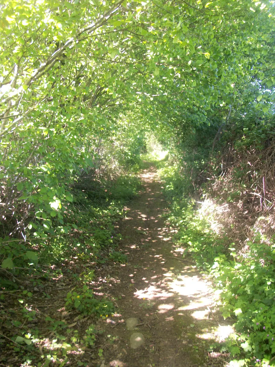 LA CHAPELLE AU RIBOUL - SENTIER DU GUÉ MARIE