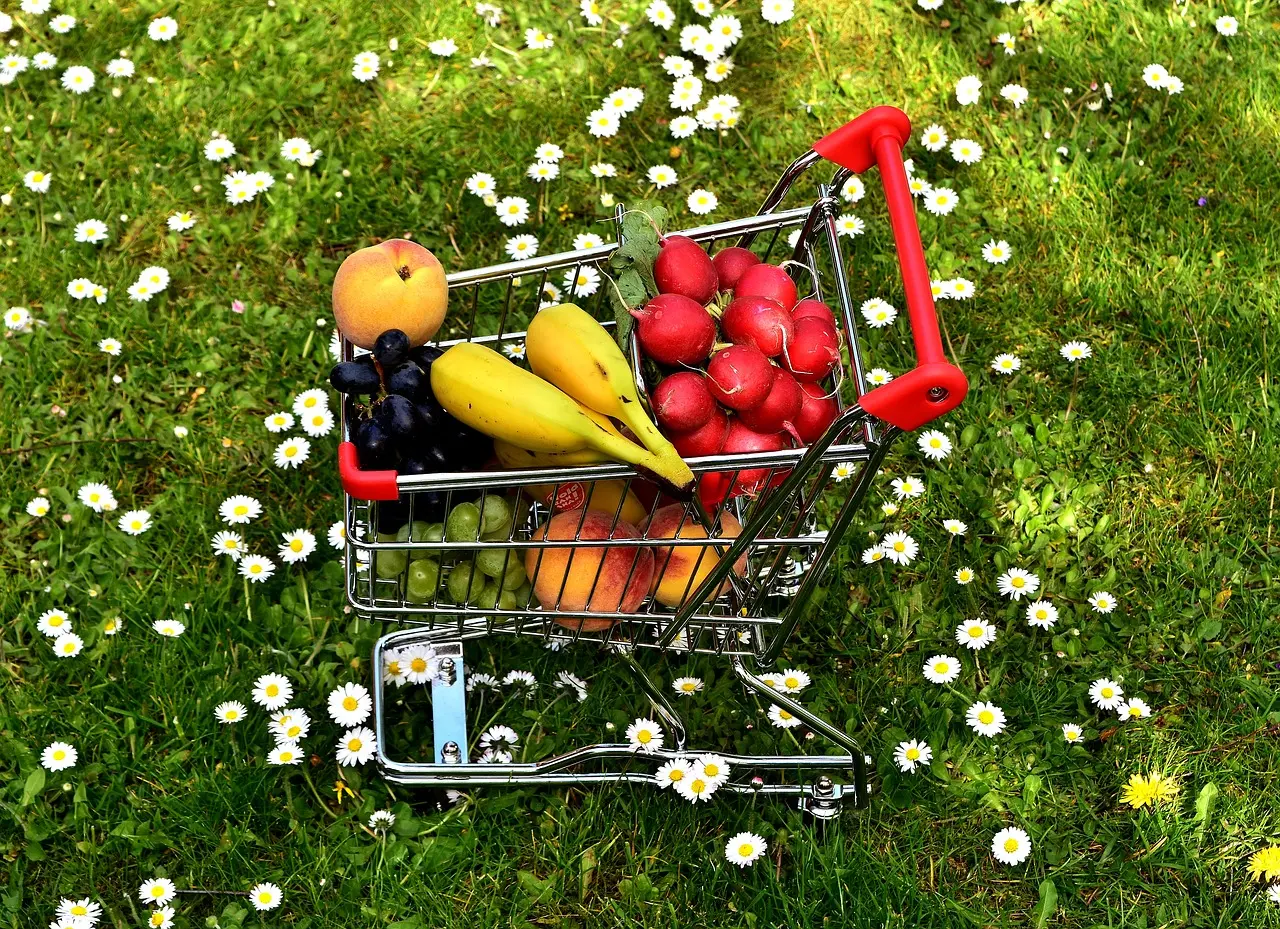 Epicerie Caddie Courses