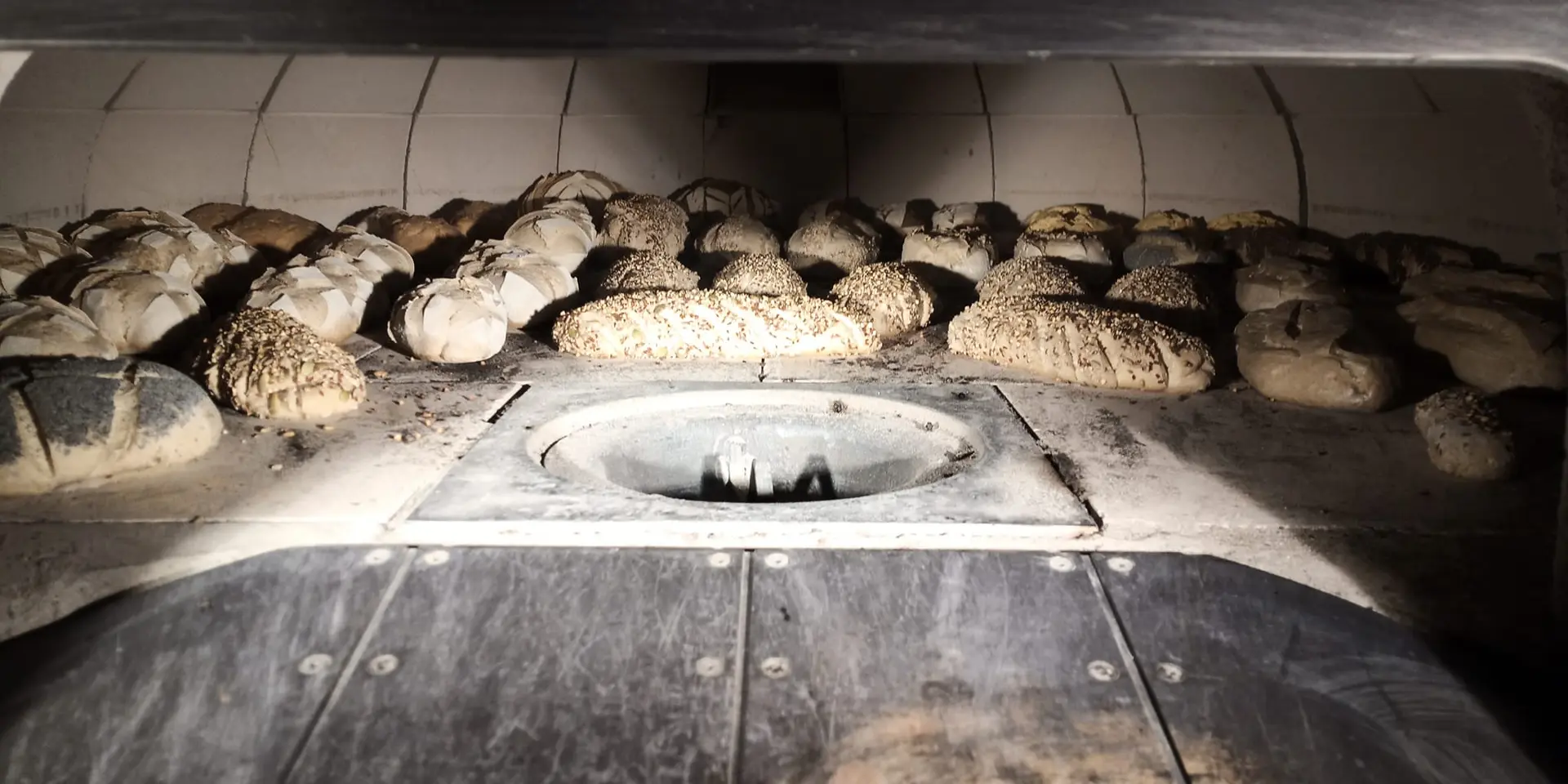 La Patte du talemelier à St Pierre- Orthe