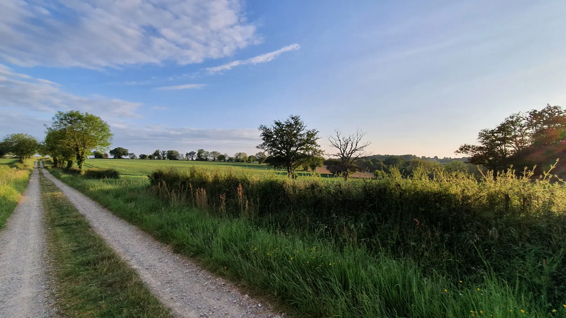 circuit chaud devant découverte