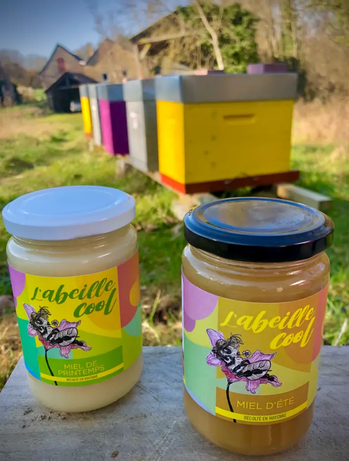 l'abeille cool