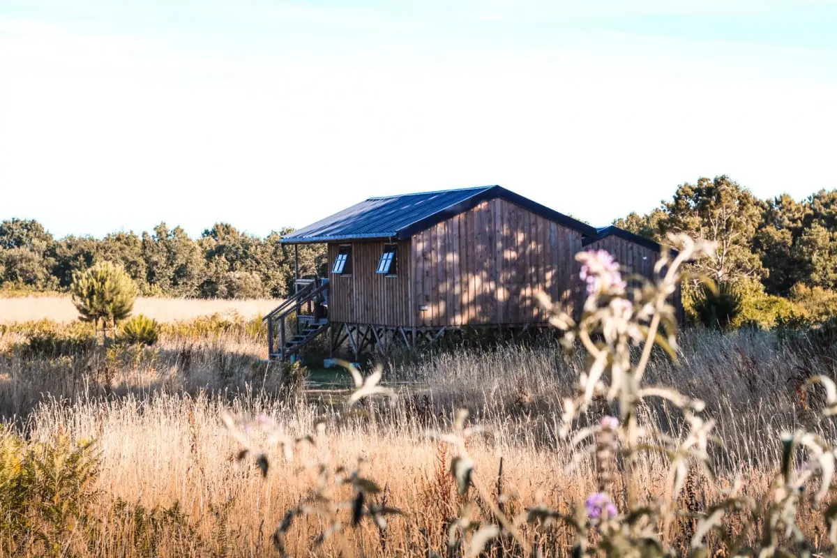 56G161136_800_1200(1)