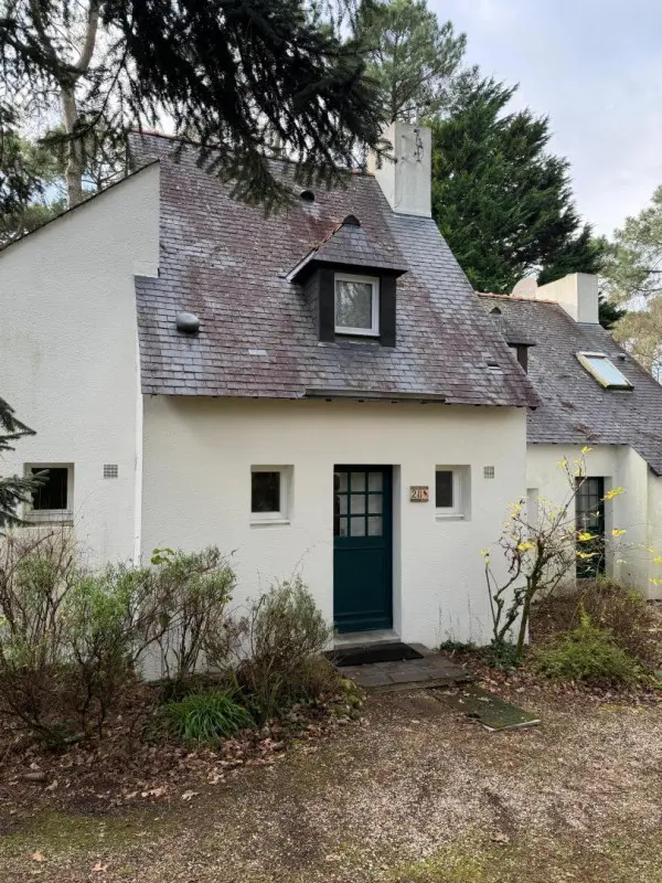 56G161155_800_600(3)