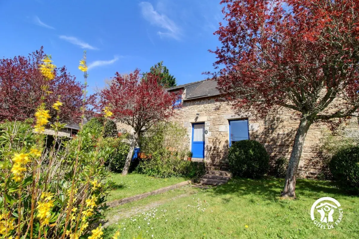 56G17764_800_1200(20)