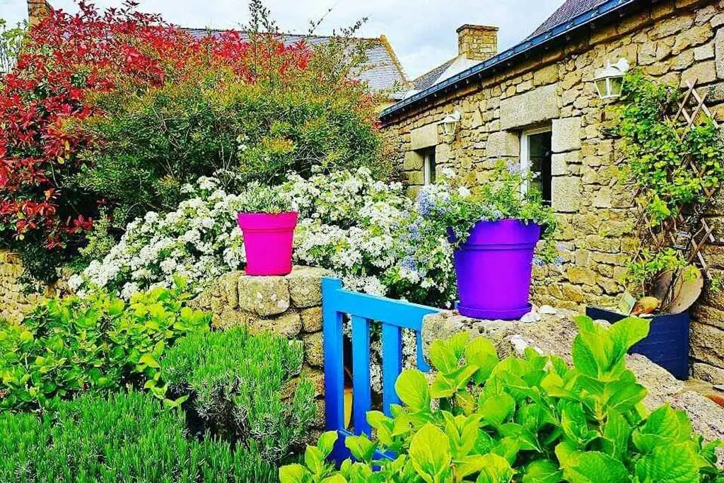 Blue Cottage