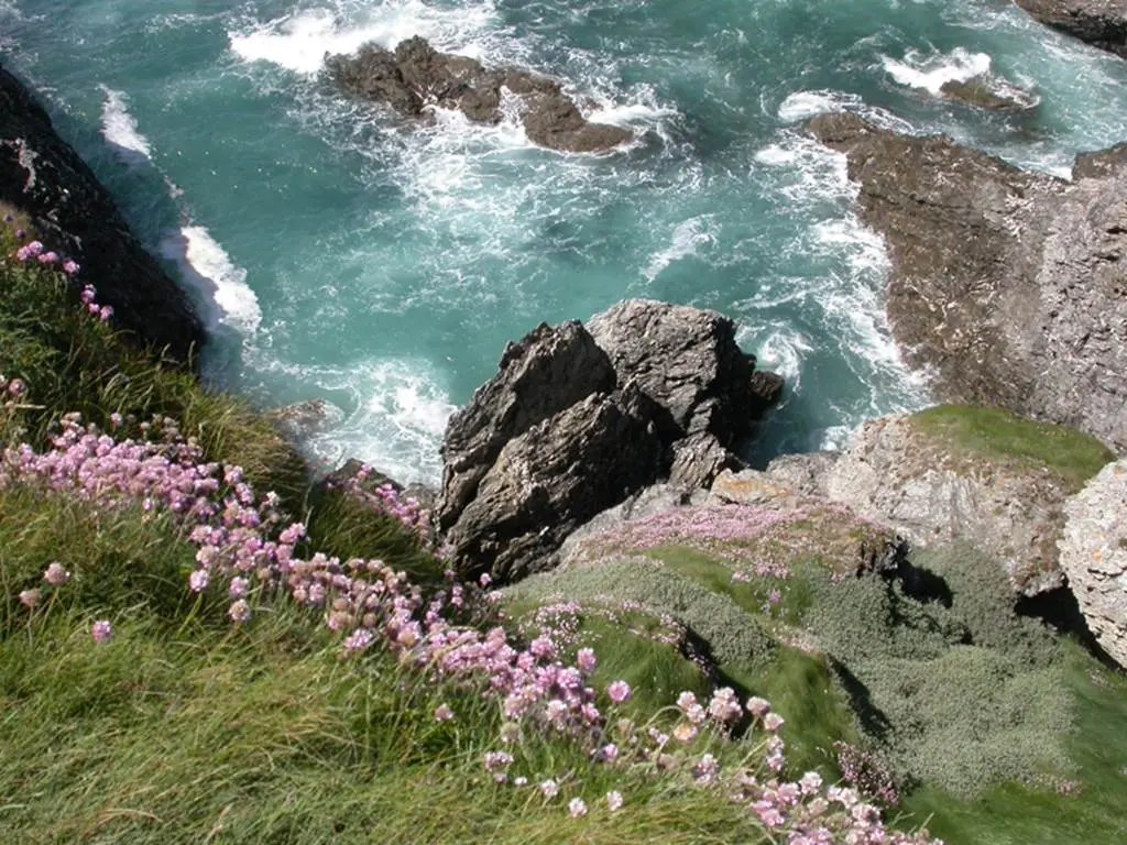 Côte sauvage - Sauzon - Belle-Ile - Morbihan Bretagne Sud