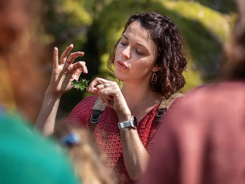 24_19_06030_DB_balade_contee_escapadesdejulie_trehorenteuc