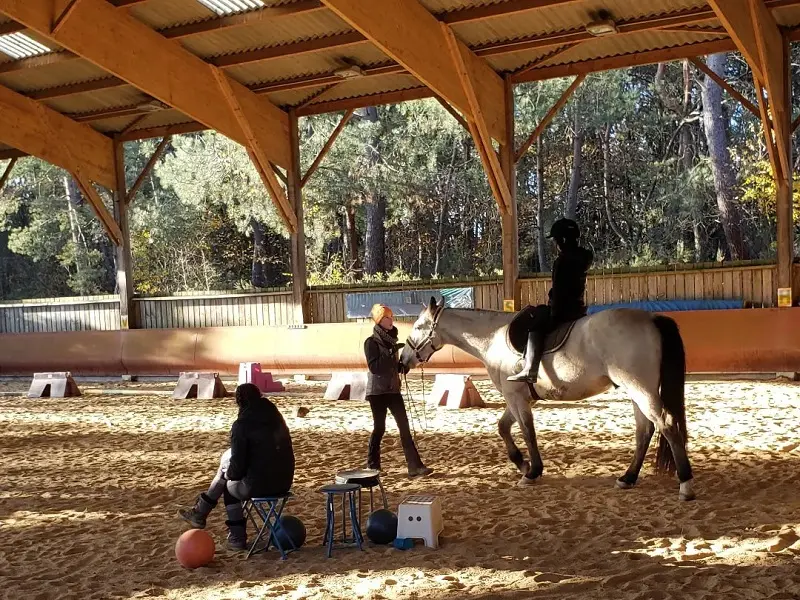 Chevaux_de_Brocéliande_centre_équestre_Tréhorenteuc