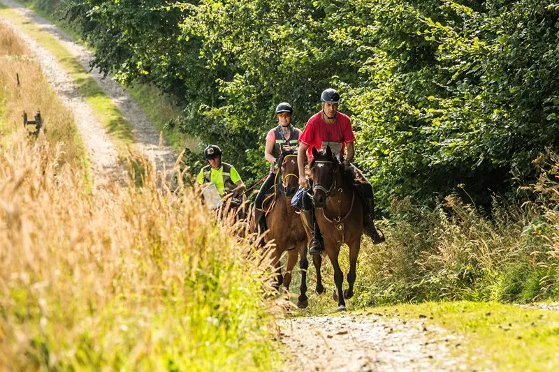 Balade à cheval groupe