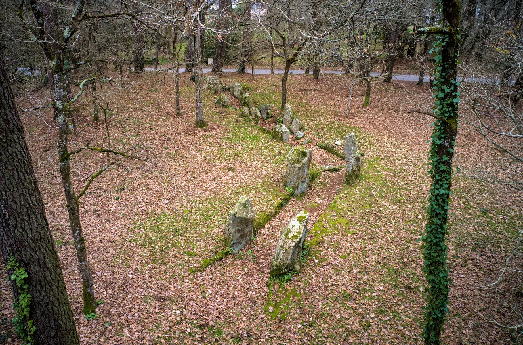 CRACH - Luffang (1).jpg_compressed