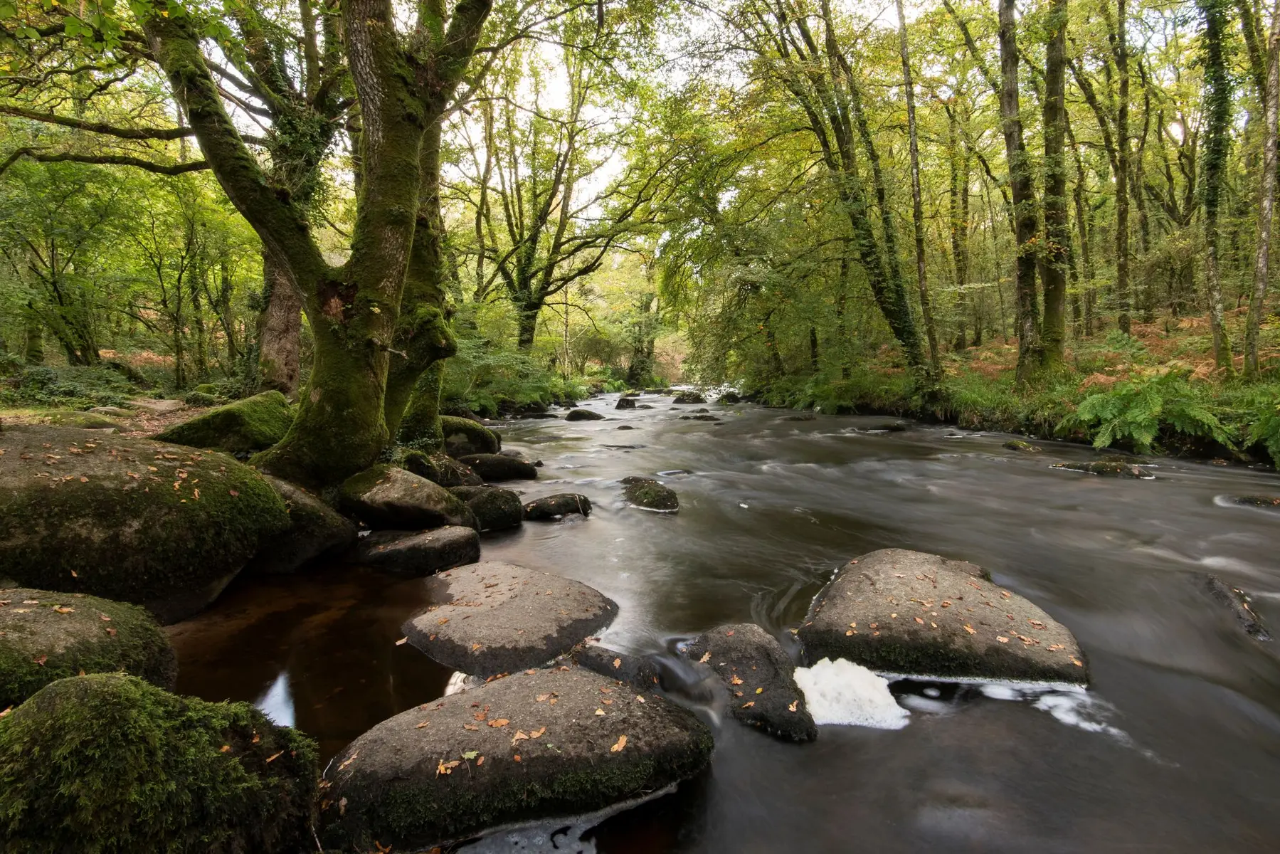 Chaos-Elle-Yohann-Hamonic-2