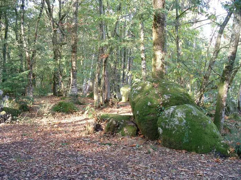 Chemin - Mairie d'Allaire