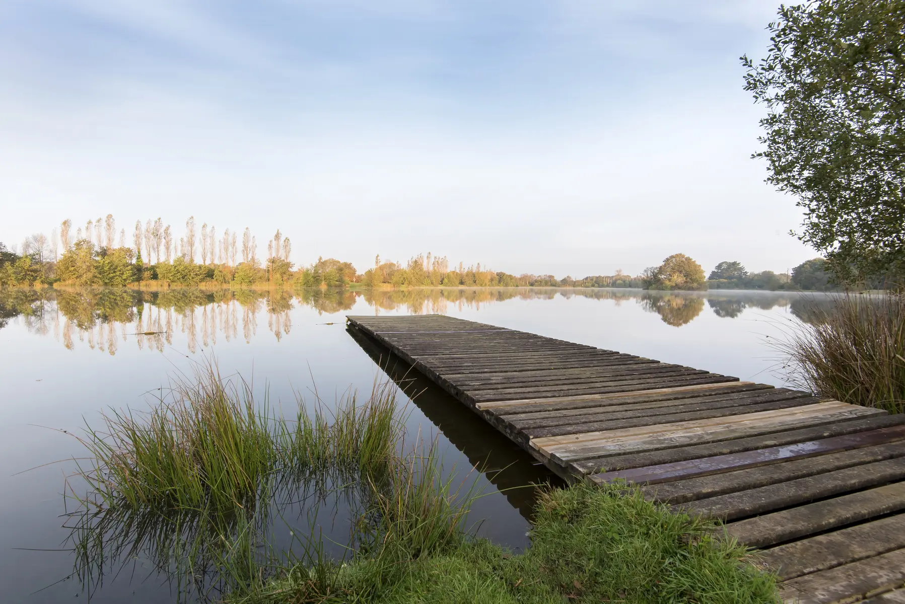 Etang Pontigou Langonnet2