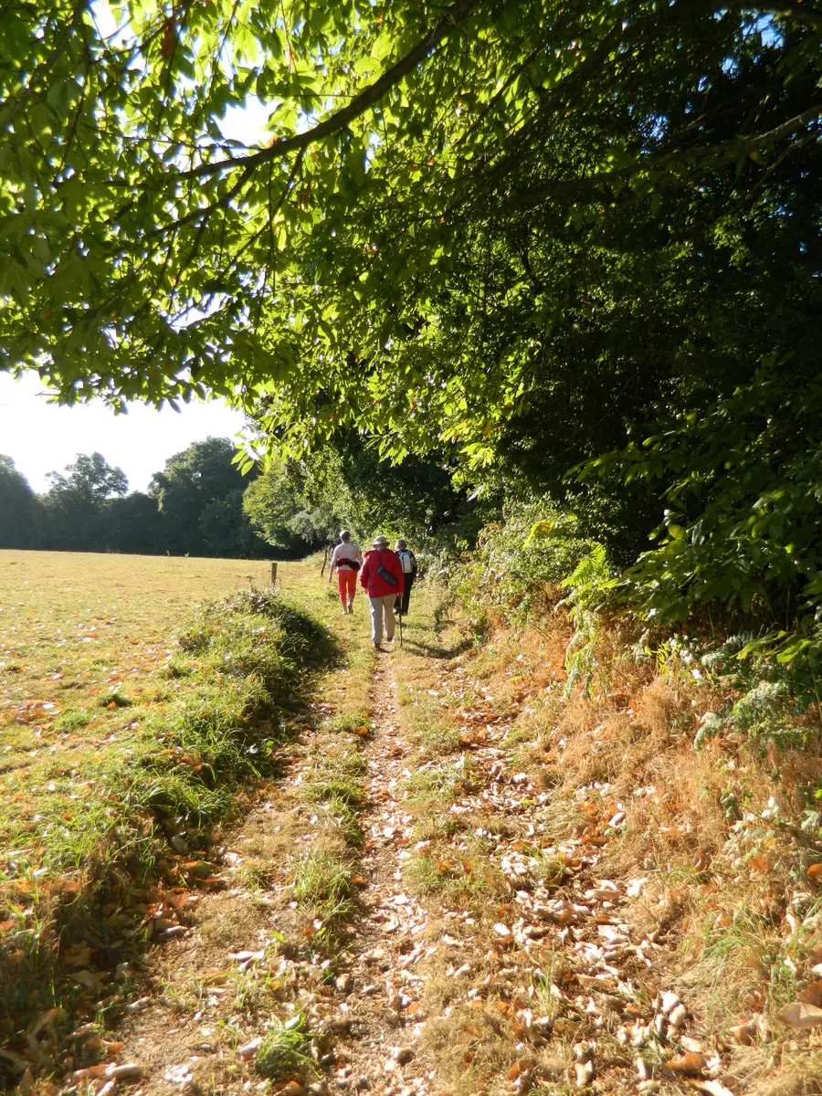 Kerjanic Kerhouis_Guern