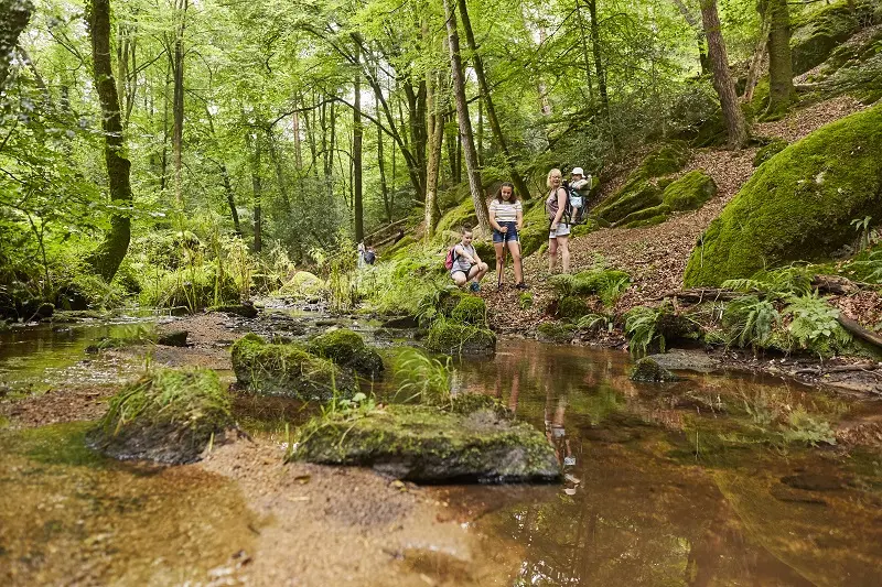 La Chapelle-Neuve-circuit du Goyerdon