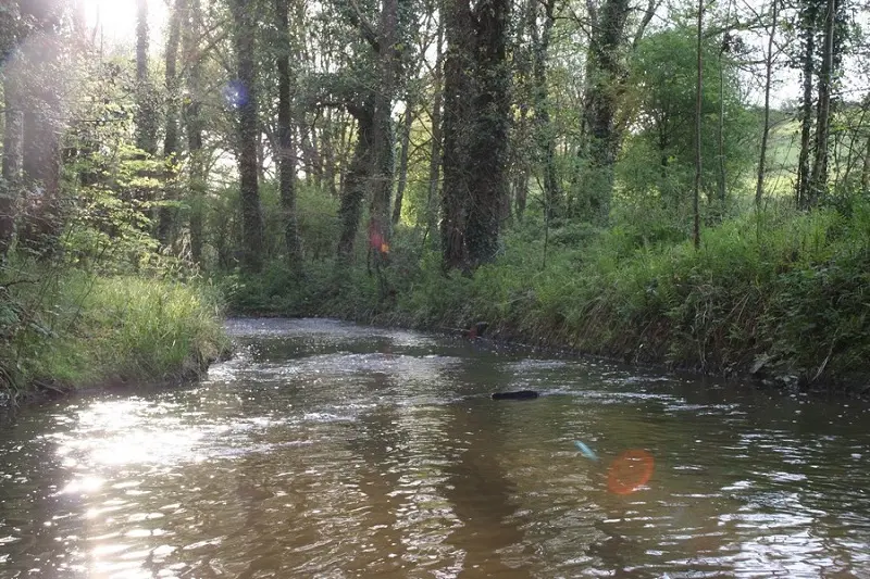 La pêche sur le Pays de Guer