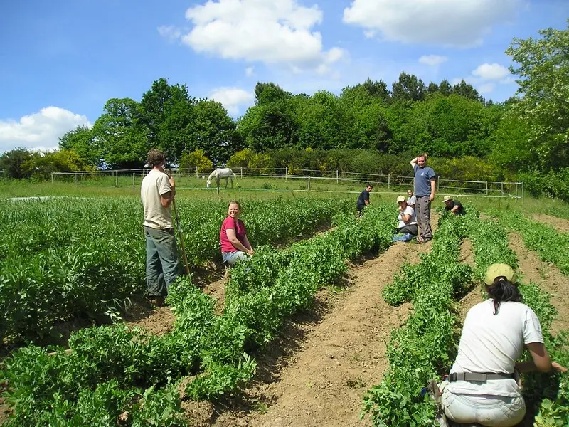 Les Jardins de Cahéran - AMISEP - Guillac - Morbihan - Bretagne