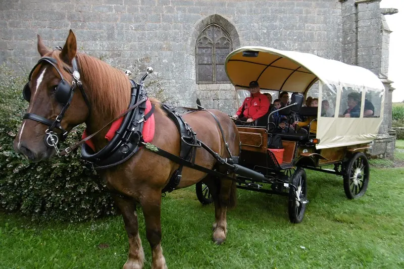 Balade en calèche